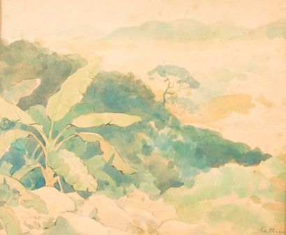 ECOLE FRANCAISE
Forêt tropicale. Aquarelle,...