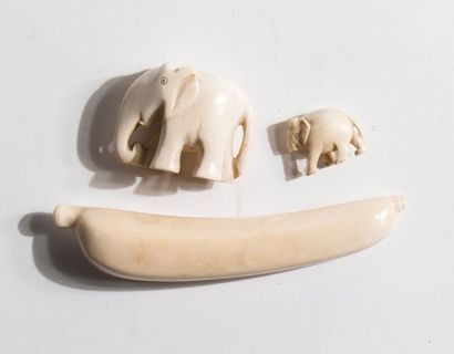 AFRIQUE. Début XXème
Deux éléphants et une...