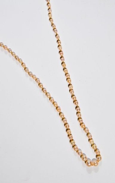 Collier de perles de culture en chute