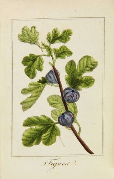 CORBEILLE DE FRUITS (La), par Charles Malo.
Paris,...