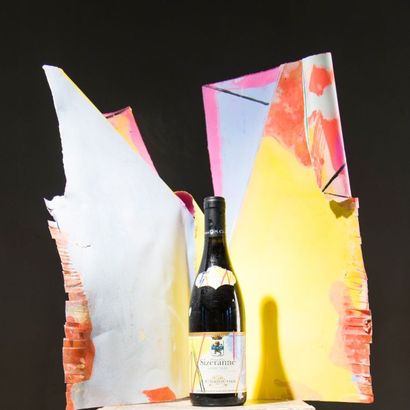Germain ROESZ (né en 1949)

Bouteille Hermitage...