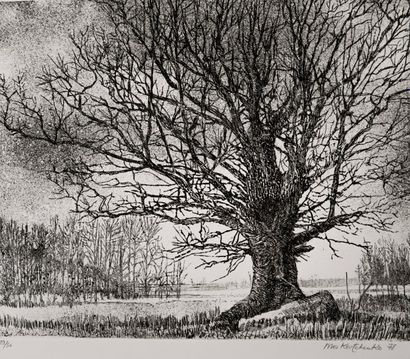 Michel MOSKOVTCHENKO (1935)
Arbres en hiver.
Eau-forte...