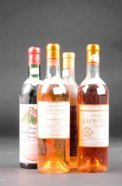 Lot : Haut Sauternes, Domaine Raymont Louis...