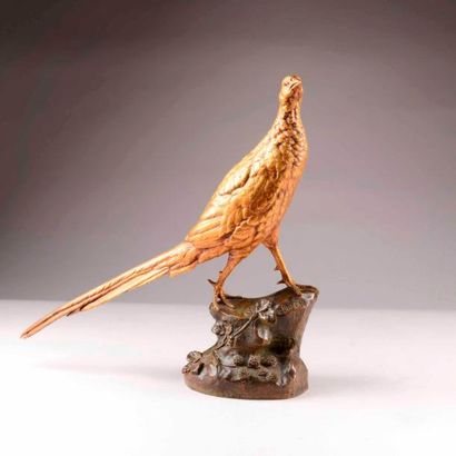 LEON BUREAU (1866-1906). 
Faisan sur un rocher....