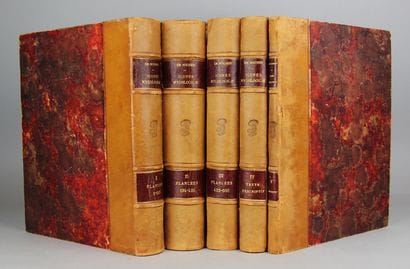 BOUDIER (Emile). Icones Mycologicæ ou Iconographie...