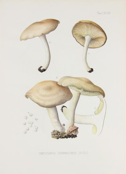 BOUDIER (Emile). Icones Mycologicæ ou Iconographie...