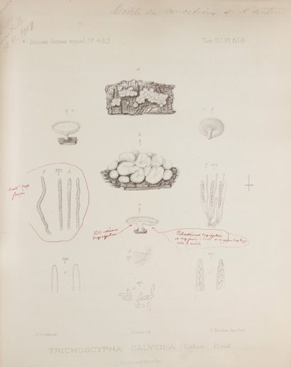 BOUDIER (Emile). Icones Mycologicæ ou Iconographie...
