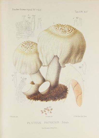 BOUDIER (Emile). Icones Mycologicae ou Iconographie...