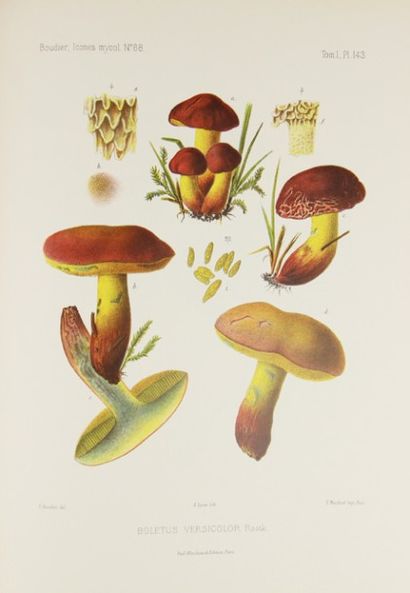 BOUDIER (Emile). Icones Mycologicae ou Iconographie...