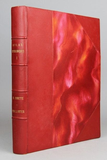 ESSETTE (Henri). Atlas mycologiques I. Les...