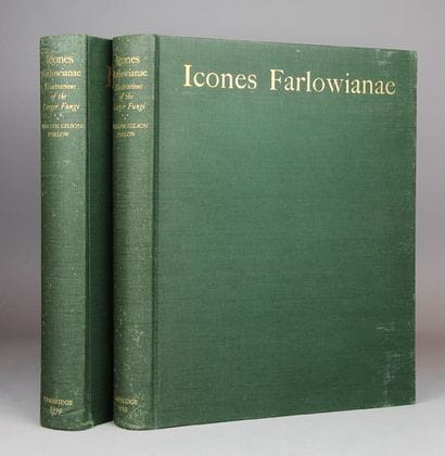 FARLOW (William Gilson). Icones Farlowianae....