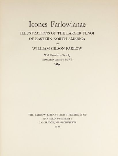 FARLOW (William Gilson). Icones Farlowianae....