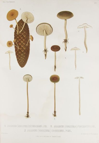 FRIES (Elias Magnus). Icones selectae Hymenomycetum...