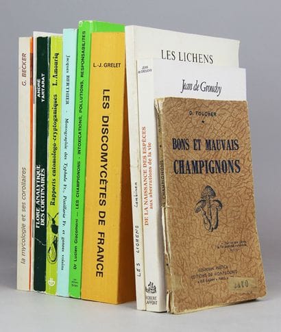 GIACOMONI. (Lucien Doc.). Les champignons....