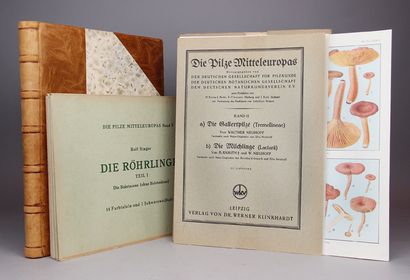 KALLENBACH – NEUHOFF. Die pilze mitteleuropas....