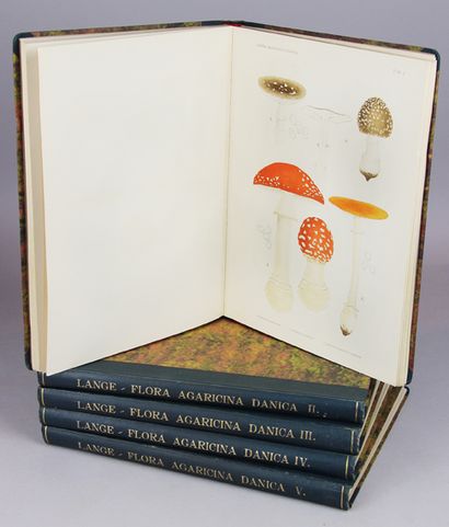 LANGE (Jakob E.). Flora Agaricina Danica....