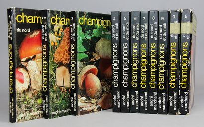 MARCHAND (André). Champignons du Nord et...
