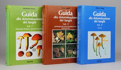 MOSER (Meinhard). Guda alla determinazione...