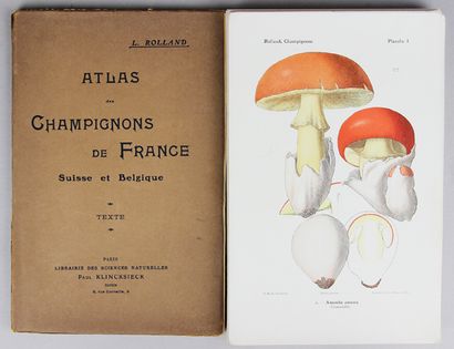 ROLLAND (L.). Atlas des champignons de France...