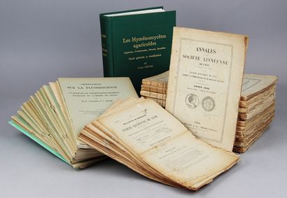 ANNALES DE LA SOCIETE LINNEENNE DE LYON....