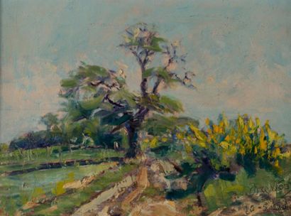 Jean DREVON (1899-1978)
Paysage au printemps...