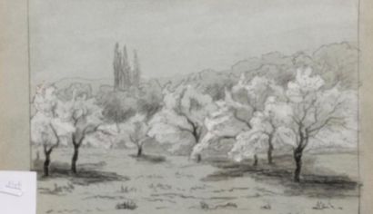 Léon BENOIT (1891-1907)
Arbres en fleurs...