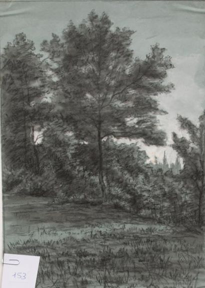 Léon BENOIT (1891-1907)
Etude d'arbres, hiver...