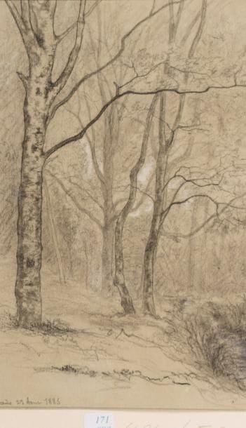 Léon BENOIT (1891-1907)
Paysage d'arbre sur...