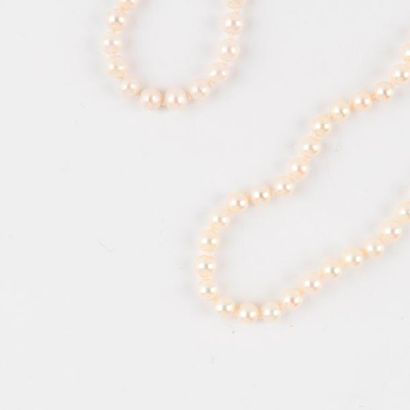 Un collier choker de perles de cultures blanches...