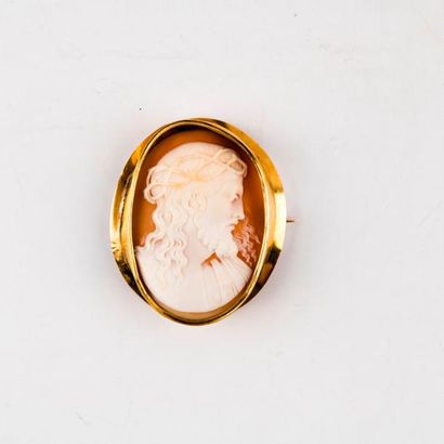 Broche centrée d'un camée ovale sur coquillage...