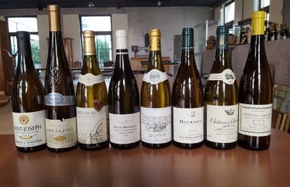 Lot 8 Bts Blanc : 

1 Bt Saint-Joseph, 2002,...
