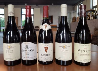 Lot 5 Bts Rouge : 

1 Bt Hermitage Nobles...