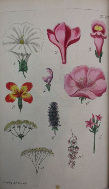 ROUSSEAU (Jean-Jacques).
Oeuvres complètes....