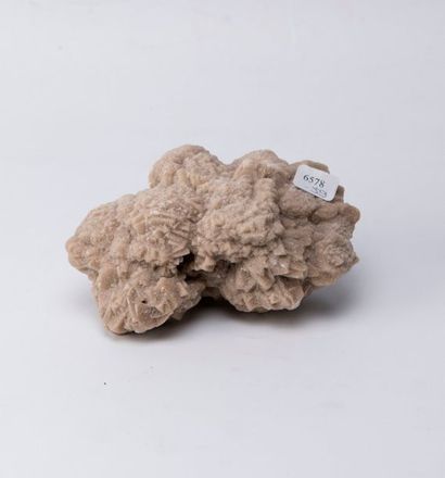 Pseudomorphose de calcite en grès de Fon...