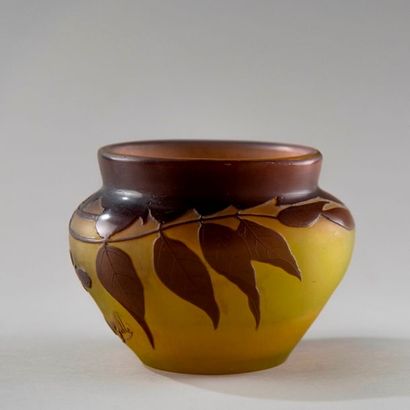 Emile GALLE (1846-1904). Vase en verre multicouche...