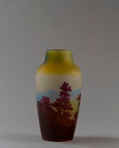 Emile GALLE (1846-1904). Vase en verre triplé...