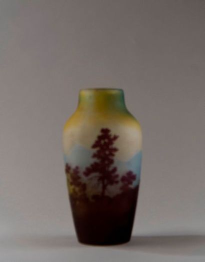 Emile GALLE (1846-1904). Vase en verre triplé...