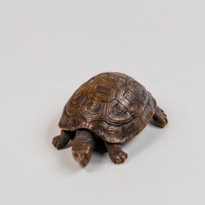 Ecole Française du XIXème siècle. Tortue....