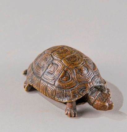Ecole Française du XIXème siècle. Tortue....