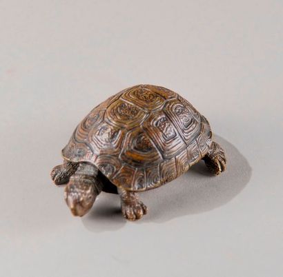 Ecole Française du XIXème siècle. Tortue....