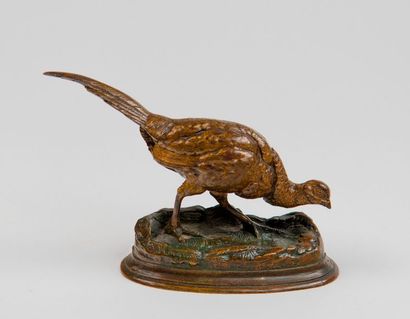 Jules MOIGNIEZ (1835-1894). Faisan. Sujet...