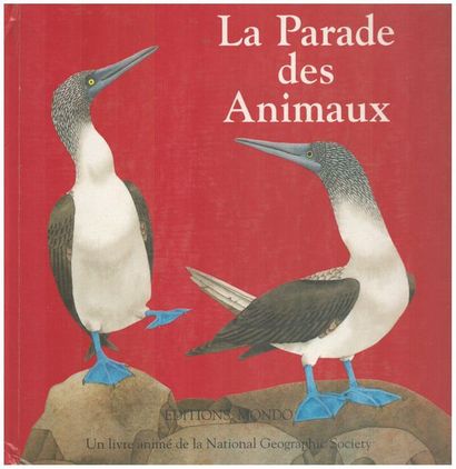 Mon livre Puzzle. Sarah Kay. – S. l. : Ed....