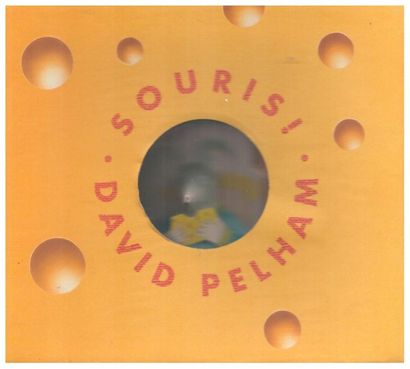 Un squelette dans mon armoire. David Pelham....