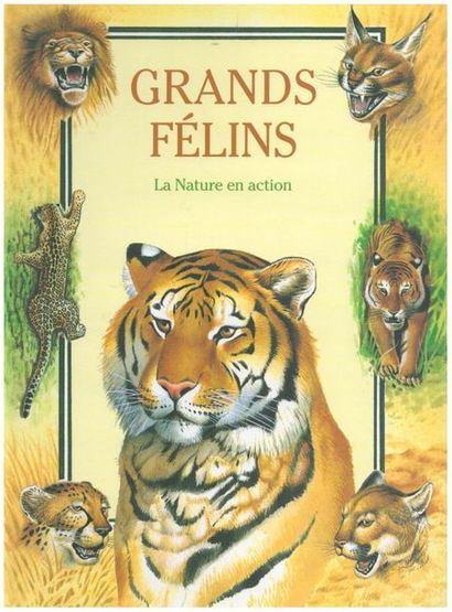Koâ La Grenouille à grande bouche. Un livre...