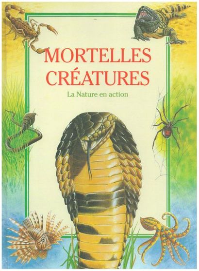 Koâ La Grenouille à grande bouche. Un livre...