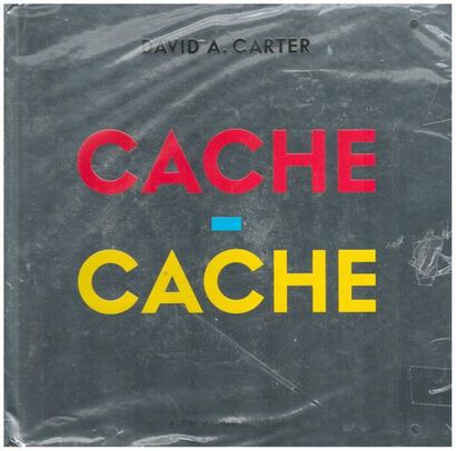 Cache-Cache. David A. Carter. – Paris : Albin...