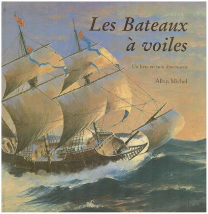 Cache-Cache. David A. Carter. – Paris : Albin...