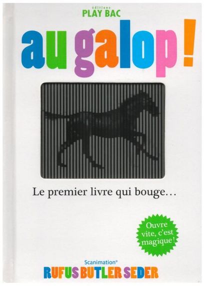 Les châteaux Forts. Un livre animé. Gillian...