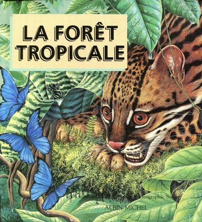 Le Magicien d'Oz. Un livre théâtre avec tableaux...