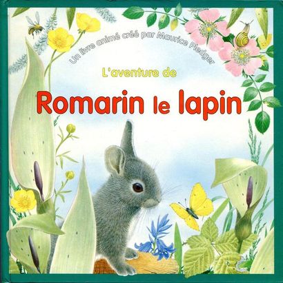 Un livre-jeu pour toucher et reconnaître...